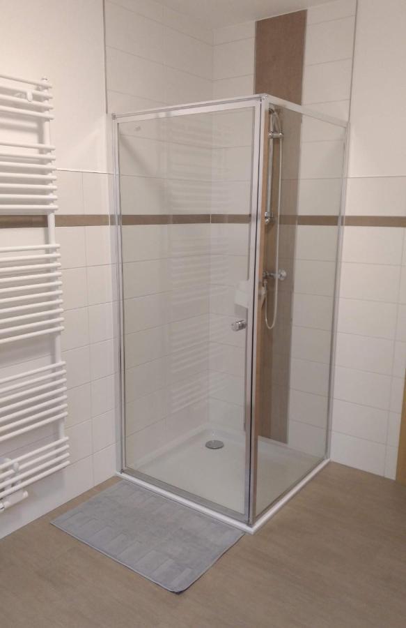 Berger Appartement Reinhardtsdorf-Schona